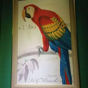 Lienzo de Fotografía de Poliéster y Algodón Mate de Alto Brillo con Solvente Débil Blanco Yu Aihe, 380g A4-1.52, Venta Directa - Product Image 3