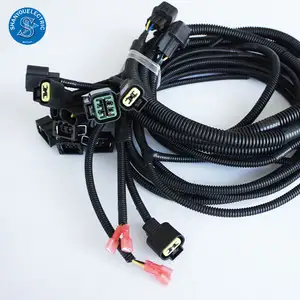 Automotive Wiring Harness Connection Wire High Quality Lead Wire Harness