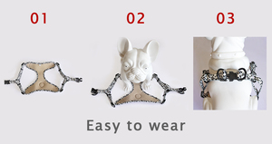 Arnés de malla ajustable para perro, accesorio popular de personalización, chaleco acolchado para perro, bolsa para excrementos, correa para collar - Product Image 4