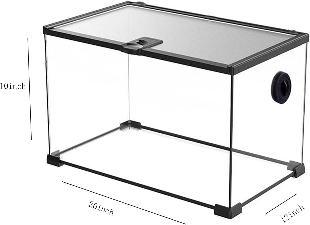 มีแสงอยู่ข้างใน