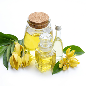 Fabricant d'huile d'ylang-ylang - Product Image 4