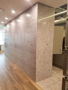 Lastre e Piastrelle in Granito Naturale Grigio Chiaro Viola Pallido con Grandi Grani Aggregati - Product Image 6