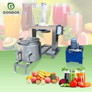 Prensa Hidráulica Industrial de Acero Inoxidable con Motor PLC y Rodamientos de Alta Eficiencia, Extractor de Jugo de Frutas Comercial y Doméstico - Product Image 1