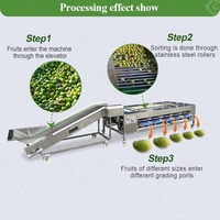 Mangosteen, champignon, rol-sorteer-, reinigings-, droog- en sorteermachine voor avocado's, wortelen en aardappelen op basis van formaat