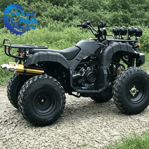 Kit de carrosserie pour <span class=keywords><strong>quad</strong></span> ATV certifié LNA CE 250cc <span class=keywords><strong>homologué</strong></span> CE pour les sentiers de montagne - Product Image 4