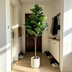 <b>Artificial</b> <b>Tree</b> Green Potted with Piano Leaf Banyan Ornaments for Living Room Floor Simulation - Product Image 4