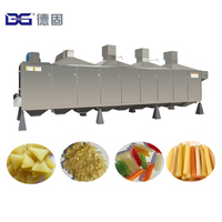 Machine extrudeuse automatique de riz plat, fabricant de ligne de production de riz poha, équipement de transformation de flocons de riz battu