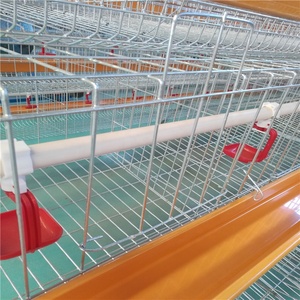 Chine <span class=keywords><strong>cage</strong></span> de poulet fabricants conception <span class=keywords><strong>cage</strong></span> à poulet pour la <span class=keywords><strong>couche</strong></span> - Product Image 4