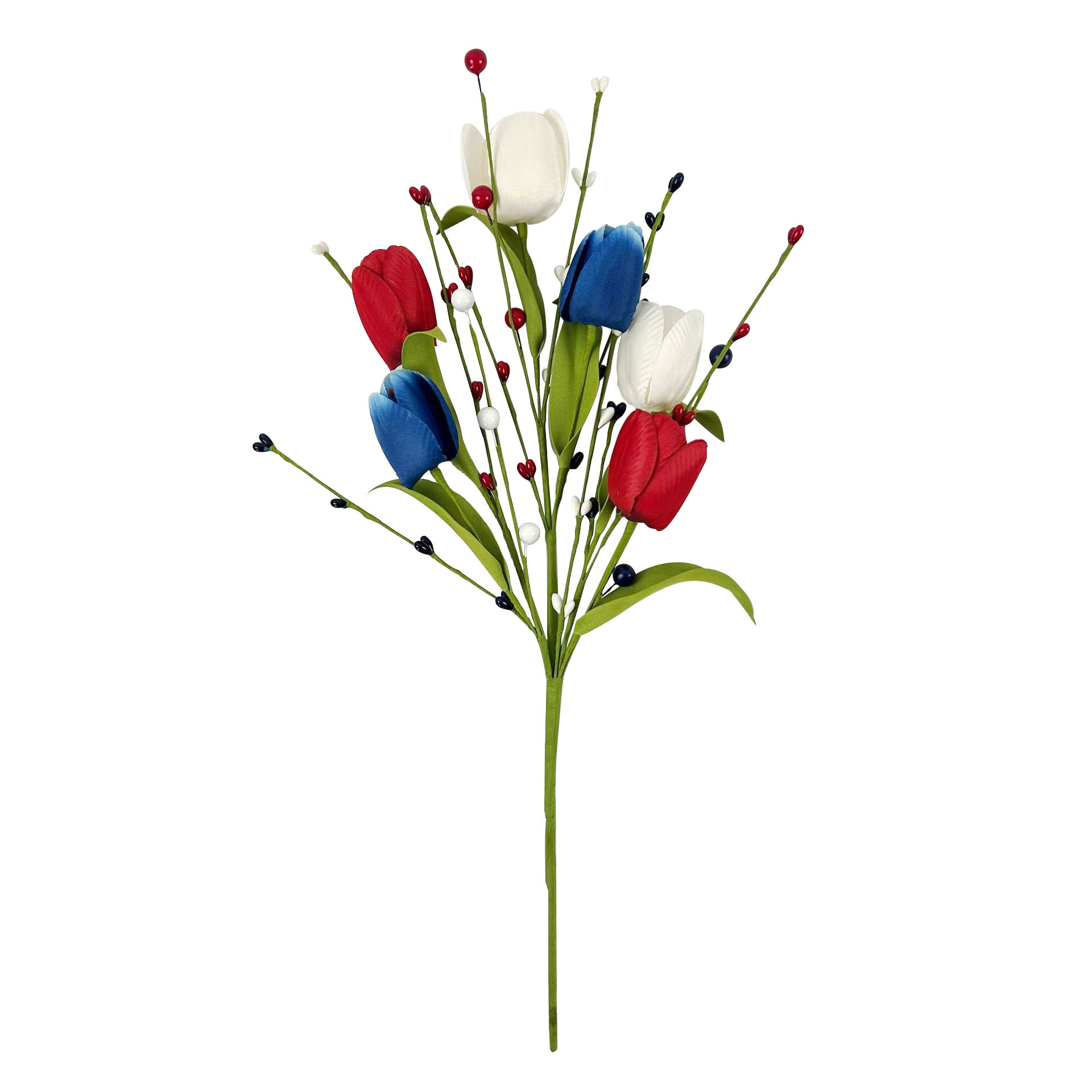 Tulipano bianco rosso