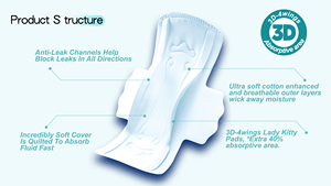 Fábrica de China Cuidado suave Súper absorbente Desechable Higiénico Señora Sanitario Menstrual Pantalones Mujeres Período DE SEGURIDAD <span class=keywords><strong>Bragas</strong></span> - Product Image 3