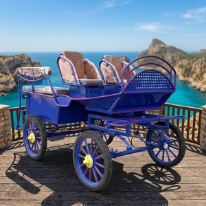 2026 High Quality Customizable Professional Marathon Horse Carriage Manufacturer for Sale Warehouse Stock Pony Carriage for Sale - Product Image 1