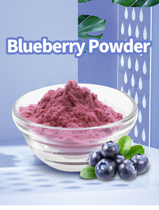 100% wateroplosbaar voedingsmiddelkwaliteit bosbessenpoeder in trommelverpakking - Product Image 3