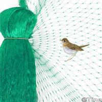 Filet anti-oiseaux et clôture anti-cerfs en plastique PP+UV stabilisé noir avec service de découpe pour la protection des fruits et légumes