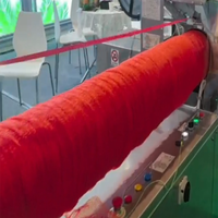 Horizontale netzakverpakkingsmachine, 1-5kg automatische netzakknipper voor sinaasappels, druiven, drakenvruchten, met label- en datumafdruk