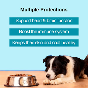 Olio di Pesce Puro <span class=keywords><strong>Omega</strong></span> 3 OEM ODM per Cani, Integratore per Pelle e Pelo Ricco di EPA + DHA con <span class=keywords><strong>Omega</strong></span> 3, <span class=keywords><strong>6</strong></span> e 9 - Product Image 4