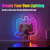 24V 5m IP67 Étanche RGB IC Adressable À Distance Google Alexa Voix Tuya Smart Wifi Contrôle LED Néon Flex Corde Bande Lumières
