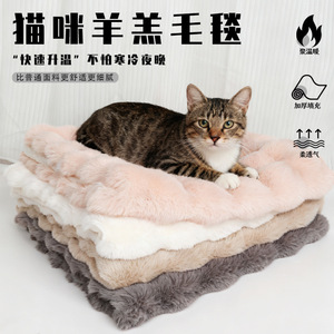 Warm cat litter mat, <b>sleeping</b> <b>blanket</b>, cat bed, kneading mat, cat cage mat, dog and cat pet <b>blanket</b> - Product Image 2