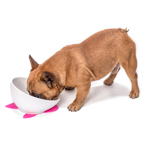 Comedero de Cerámica para Perros con Tapete Antideslizante, Tazón para Comida de Gatos, Tazón para <span class=keywords><strong>Bulldog</strong></span> Francés, Productos Innovadores para Perros - Product Image 6