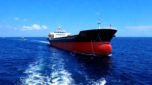 Affidabile Pre-posseduto 17300 tonnellate di acciaio alla rinfusa nave da carico per il trasporto marittimo a lunga distanza logistica del carico marittimo - Product Image 6