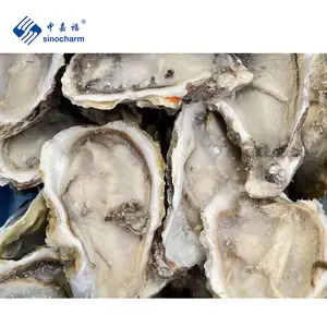 Sinocharm Frozen Seafood Half Shell Oyster Meat Wholesale IQF Seafood Frozen Oyster