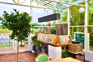 Carpa Romántica Transparente para Bodas y Fiestas al Aire Libre para 100 a 500 Personas, Decoración para Navidad, Primavera y Eventos - Product Image 5