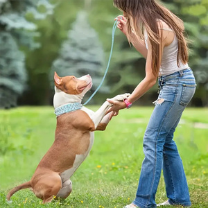 Collar para Perro Grande, Estilo <span class=keywords><strong>Punk</strong></span>, Resistente a Mordeduras, con Púas, de Cuero, al por Mayor - Product Image 2