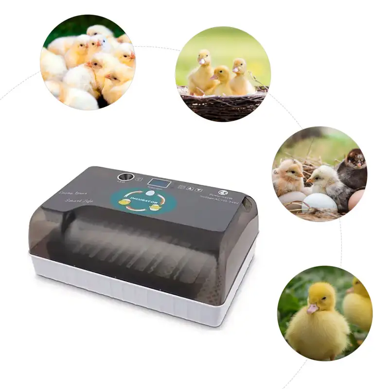 Multifuncional 36 huevos Mini incubadora de huevos automáticamente pollo pato ganso codorniz máquina para incubar huevos
