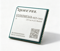 Module LTE-A Cat 6 Quectel EG060WEAAA-M25-CNASA avec boîtier LGA, spécialement conçu pour les applications IoT/M2M