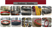 Grande roue dentée de circonférence en acier forgé sur mesure, à module partagé, à engrenage à pignon, pour broyeur à boulets rotatif Klin