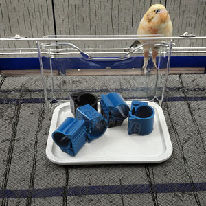 Uccello di piccione di pollo <span class=keywords><strong>RFID</strong></span> colorato etichette del piede anello per l'allevamento di pollame impermeabile antiurto colorato personalizzato - Product Image 1