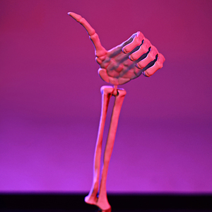 Juego de 4 estacas de mano de esqueleto para Halloween, decoración para jardín/exterior, brazos de esqueleto con gestos de <span class=keywords><strong>roca</strong></span>, accesorios espeluznantes para fiestas de Halloween - Product Image 4