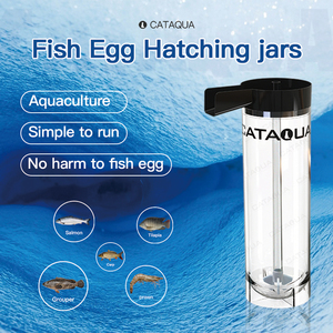 Bassin RAS haute performance pour l'élevage de poissons, incubateur de tilapias avec flux de refoulement, en acrylique - Product Image 6