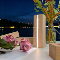 Lámparas de Mesa LED con Base para Lámparas de Batería AAA, Soportes de Madera para Lámparas Nocturnas LED, Lámparas LED Inalámbricas Cálidas, Luces de Madera para Decoración de Habitaciones