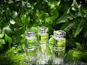 Perfume Moderno de Larga Duración en Spray, Eau de Parfum Femenina Fresca, Perfume Vietnamita NOTAS DE MEKONG - Ritmo del Amanecer (30 ml) Spray - Product Image 6