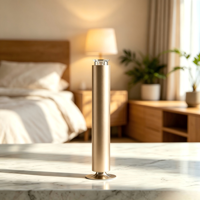 Diffuseur nébulisateur rechargeable à deux fluides 100 ml en métal, contrôlé par application, avec lumière d'ambiance, anti-fuite, sans eau, écologique et léger