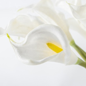 Flores Artificiales de Lirio Calla de Terciopelo Blanco con Tacto Real, Personalizadas OEM ODM, con Jarrón para Decoración de Vestíbulos de Hotel - Product Image 3