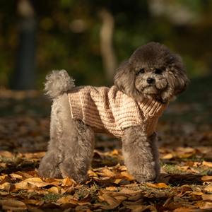 Cozy <span class=keywords><strong>Pet</strong></span> Vestuário Camisola simples do cão do estilo Turtleneck Design térmico Elastic Fit Snug Envoltório Mohair Spray Fio Algodão resistente - Product Image 1