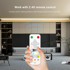 Controlador LED Wi-Fi CCT Inteligente IoT con Control por Voz, Dimmer PWM de 2 Canales DC5-24V, Sincronización Musical, Control Remoto RF Inalámbrico de Doble Canal - Product Image 4