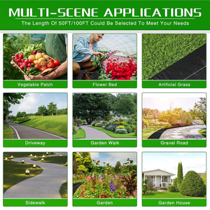 <span class=keywords><strong>Géotextile</strong></span> tissé moderne en HDPE / Couverture du sol / Barrière <span class=keywords><strong>anti</strong></span>-mauvaises herbes / Tapis de contrôle pour l'agriculture / Jardin / Paysage - Product Image 2