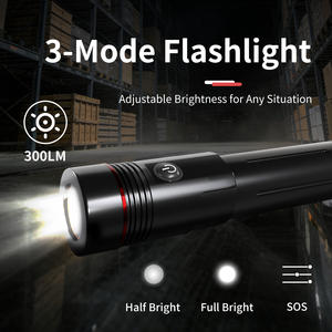 Sistema de patrullaje de seguridad con lector/grabador RFID de largo alcance (incluye estación de descarga), linterna integrada, software de computadora gratuito - Product Image 4