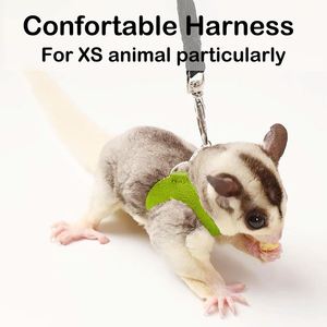 Harnais et laisse pour petits animaux : Écharpe de poitrine pour hamster, hamster, rat, écureuil, et kit de 4 harnais et laisses pour petauhers d'extérieur - Product Image 5