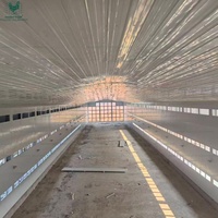 Gallinero de Acero de Tamaño Personalizado con Ventilación por Túnel para Proyectos Comerciales de Gran Escala de Pollos de Engorde