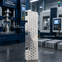 Plaque froide soufflée en alliage d'aluminium à liaison par rouleaux pour dissipation thermique de station de base 5G, spécifications personnalisées