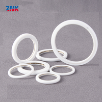 ZNK 21*15*2.7*2.2 Mesin Pemotong Cincin Penyegel Lensa Pengelasan Laser Genggam Gasket Karet Baru 1064nm Umur Pakai Panjang