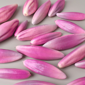 Capullos de Lirio Artificiales Realistas, Tallos de Lirio Artificiales de Tacto Real para Arreglos Florales de Boda, Decoración de Interiores de Hoteles y Hogares - Product Image 4