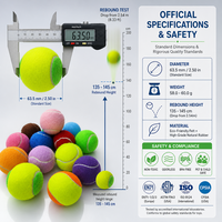 Ballon de tennis pour l'entraînement des animaux de compagnie, taille personnalisée, jouet interactif à mâcher pour chien, balles rebondissantes durables pour chiens de petite, moyenne et grande taille, vente en gros