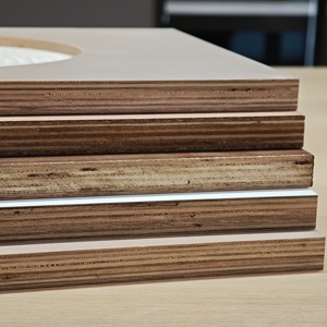 Panneaux de <span class=keywords><strong>contreplaqué</strong></span> marin ENF E0 de qualité environnementale en eucalyptus stratifié, imperméables, WBP - Product Image 6