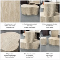Ensemble de 2 tables basses avec motif imitation marbre, design moderne minimaliste, tables d'appoint irrégulières en forme de nuage pour appartement
