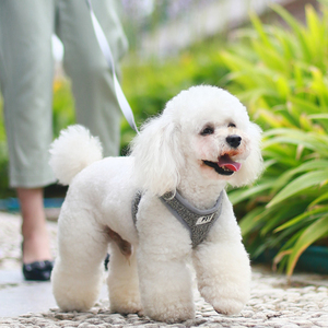 Mềm Teddy Bear Chó Sang Trọng Khai Thác Với Dây Chính-Có Thể Điều Chỉnh Ngoài Trời Không Kéo Vest Mờ Con Chó Ngực Khai Thác Với Chì - Product Image 3