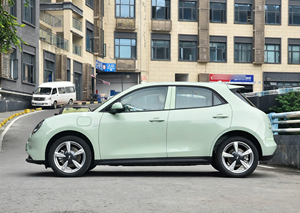 Autos Usados en Venta 2025 GWM ORA Good Cat 401km Clásico con Volante a la Izquierda, Auto Eléctrico - Product Image 4